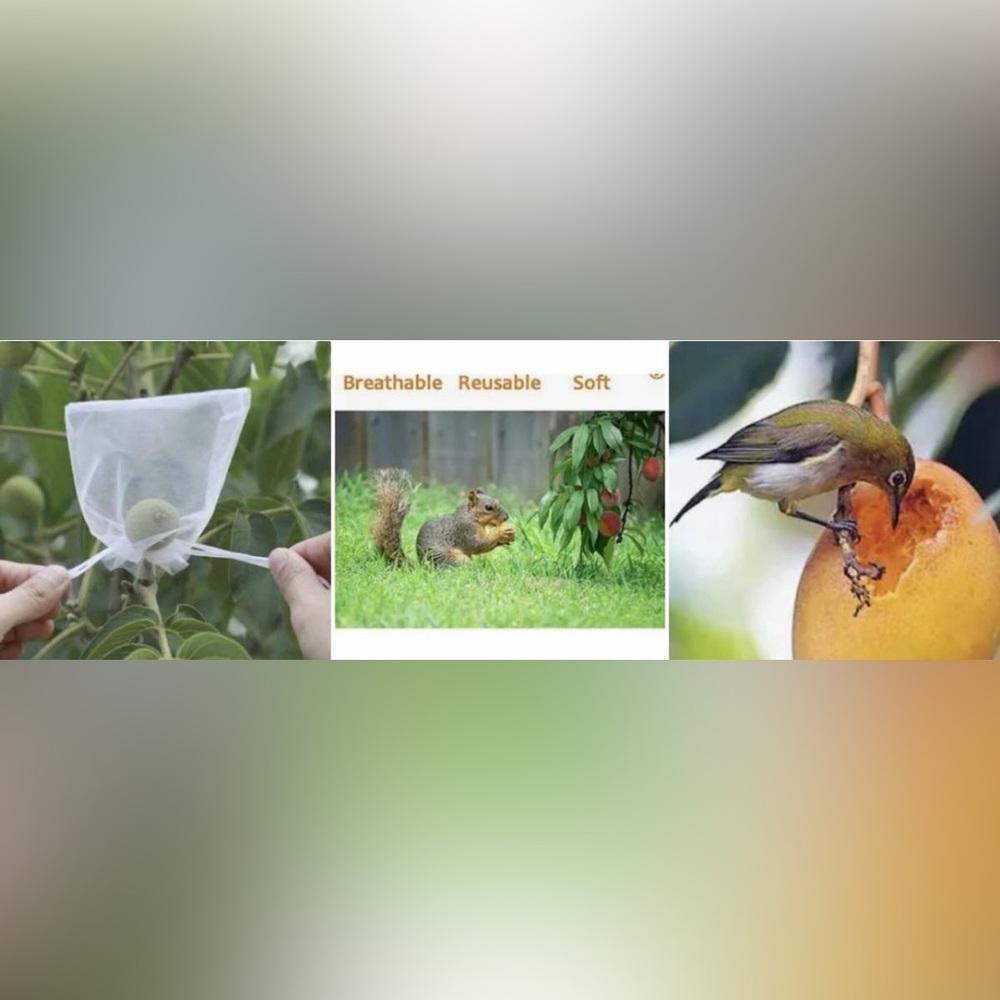 Brand new 150pc Anti-bird fruit protect net bags